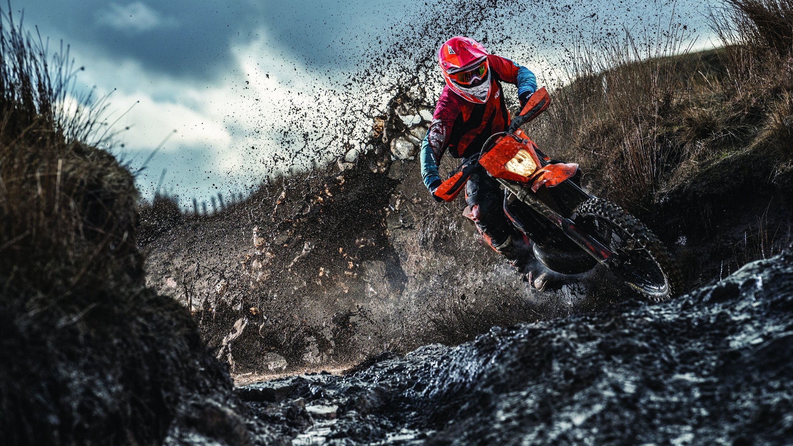 火力全开！森林狼撕碎魔术防线，莫兰特化身关键先生统治攻防两端